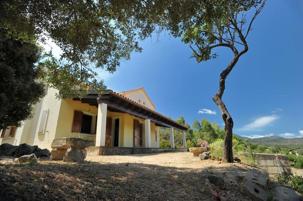 Lierus B&B Gonnosfanadiga Ngoại thất bức ảnh